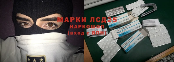 гашик Михайловск