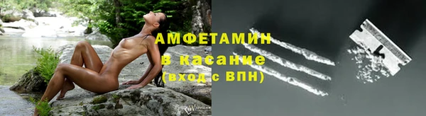 гашик Михайловск