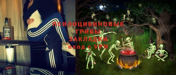 гашик Михайловск