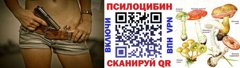 купить   Шахунья  Псилоцибиновые грибы ЛСД 